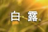 白露祝福寄語