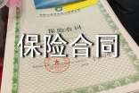 常見(jiàn)保險(xiǎn)合同范本
