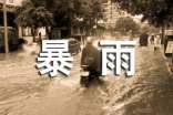 暴雨應(yīng)急預(yù)案