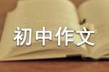初中作文優(yōu)秀評語(精選320句)