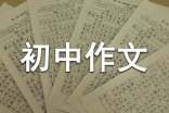 2017初中作文評語
