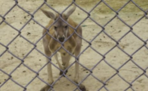 ����w���̰�С����ُ��؛