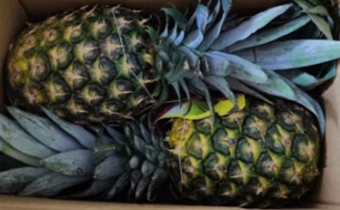 �P�滨��ô�B(y��ng)