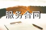 委托技術(shù)服務(wù)合同