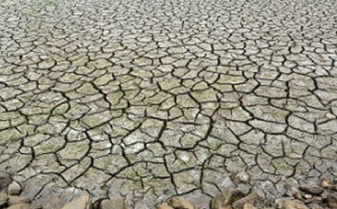 �ɺ��̕�(hu��)���҂�ʲô