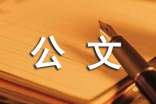 公文的行文規(guī)則及注意事項(xiàng)