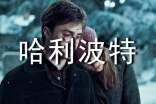 讀哈利波特心得