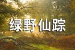 《綠野仙蹤》讀書心得通用15篇