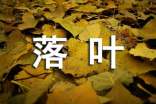 形容落葉的句子