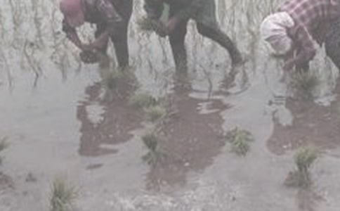 �W(xu��)�r(n��ng)��ӿ��Y(ji��)��ͨ��10ƪ��