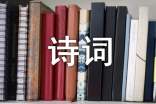 雨詩詞座右銘語錄100句精選
