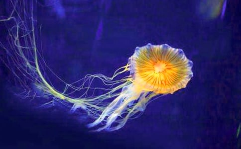 ���ҿ�ˮĸ�m��(d��o)���~