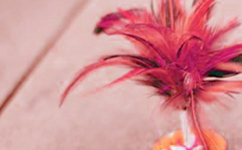 ����dȤС�M��ӿ��Y