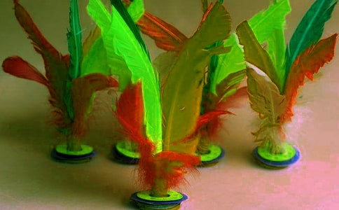 С�W�w������򡷽̌W��˼