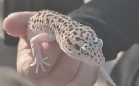 �������x�������300��