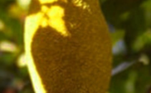 ���}��_700��