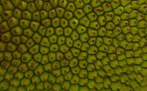 ���}�����ķ���