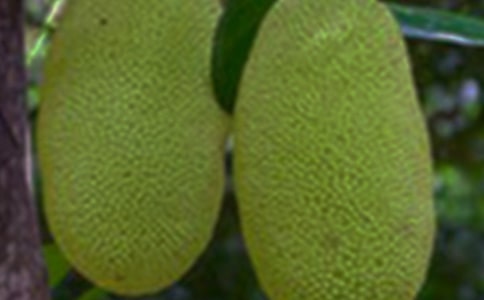 �����������}�ۡ���������