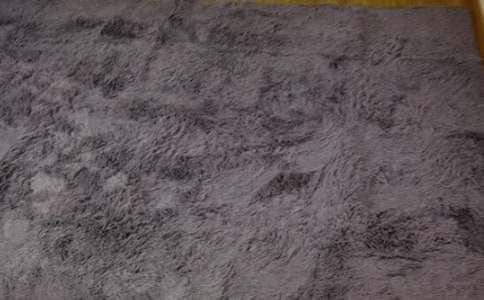 地毯下的秘密教案