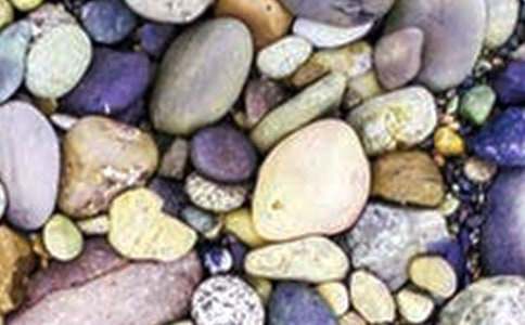 我是一顆鵝卵石的小學(xué)生作文