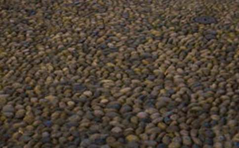 �ഺ�������Z��ʯ����