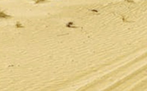 �ɺ��ĺ��󣨾��x7ƪ��