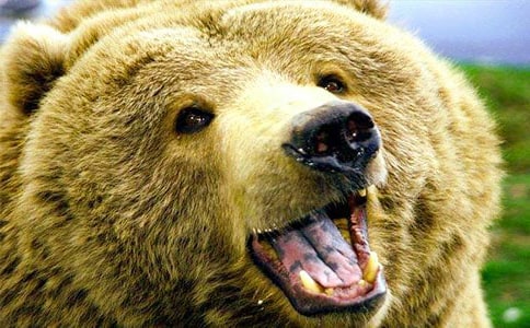 ���꼉�������ģ�ͨ��15ƪ��