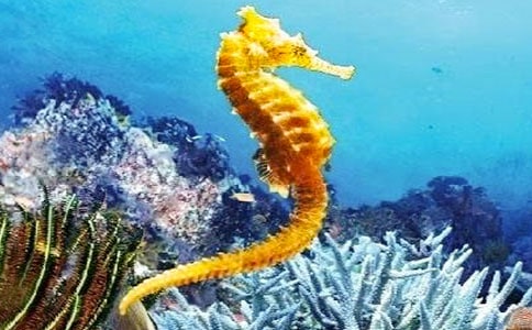 �Ї�(gu��)ͯԒ���£����R�ְ�