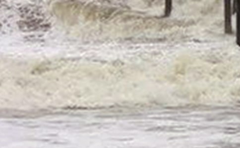 ���[���EӰƬ�^���