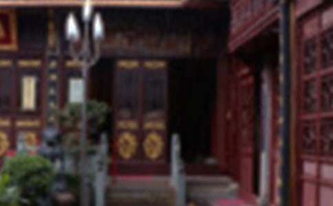 寫事的作文600字 一個越南孩子眼中的陳家祠