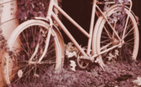 我喜歡騎腳踏車作文(通用25篇)