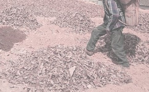 ��һ�θ��r(n��ng)������800��