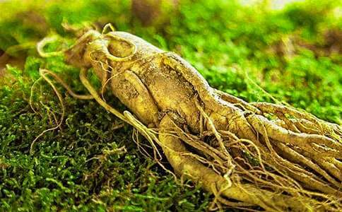 ͵���˅����x���