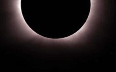 ��ʳ�����ģ�ͨ��31ƪ��