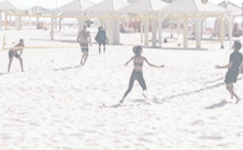 沙灘排球賽小學(xué)作文