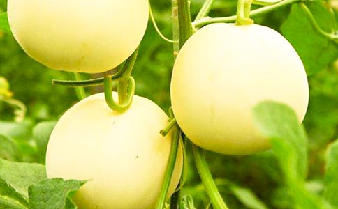 ���꼉(j��)500����(x��)�� �҄�(d��ng)�����ѡ���С���