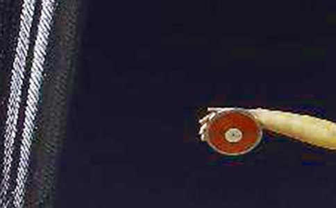 a1��Ŀ�����FD��