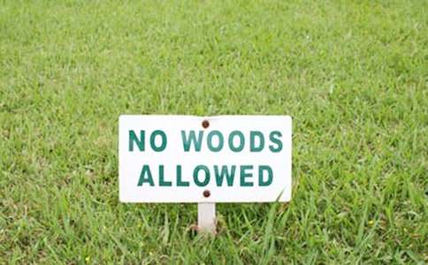 2017���ռӏ������t(y��)���l(w��i)���C���˲���齨�Oͨ��