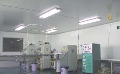 藥廠實(shí)習(xí)工作總結(jié)