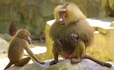 ����������700��