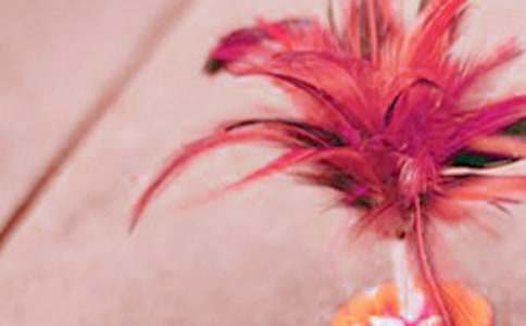 毽球活動實(shí)施方案(通用6篇)