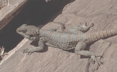 �������£�����֮��