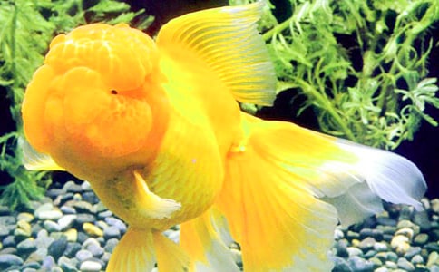 ���꼉(j��)���~����300�ּ���7ƪ